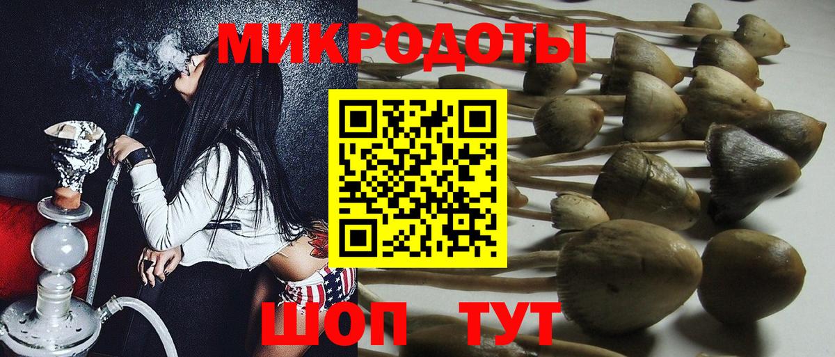 купить   Вход с VPN  Курчатов  Галлюциногенные грибы Psilocybine cubensis 