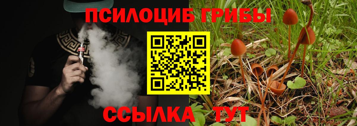 Галлюциногенные грибы GOLDEN TEACHER Курчатов